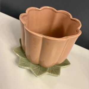 Peach Ceramic Flower Pot with Green Leaf Base